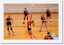 vs THigh * (279 Slides)